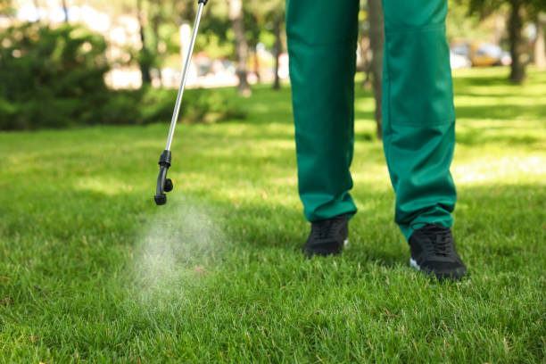 Pest Prevention Services in Fairmount Heights, MD
