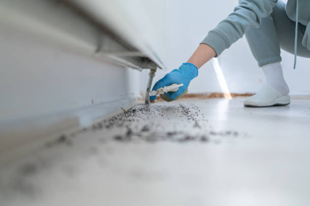 Best Cockroach Control Services  in Fairmount Heights, MD